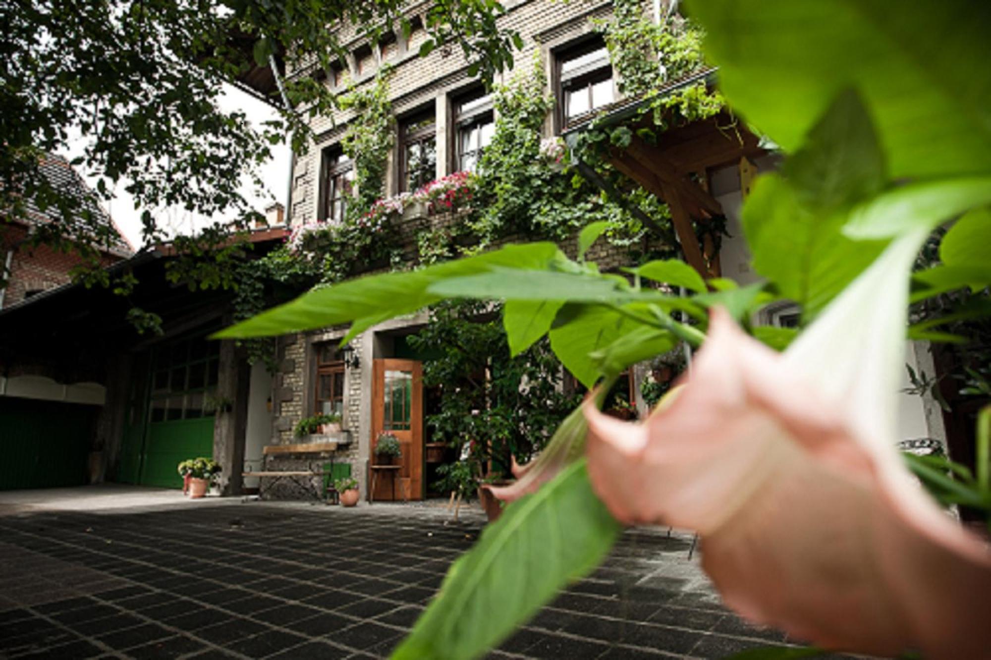 Gaestehaus Guntersblum Buitenkant foto