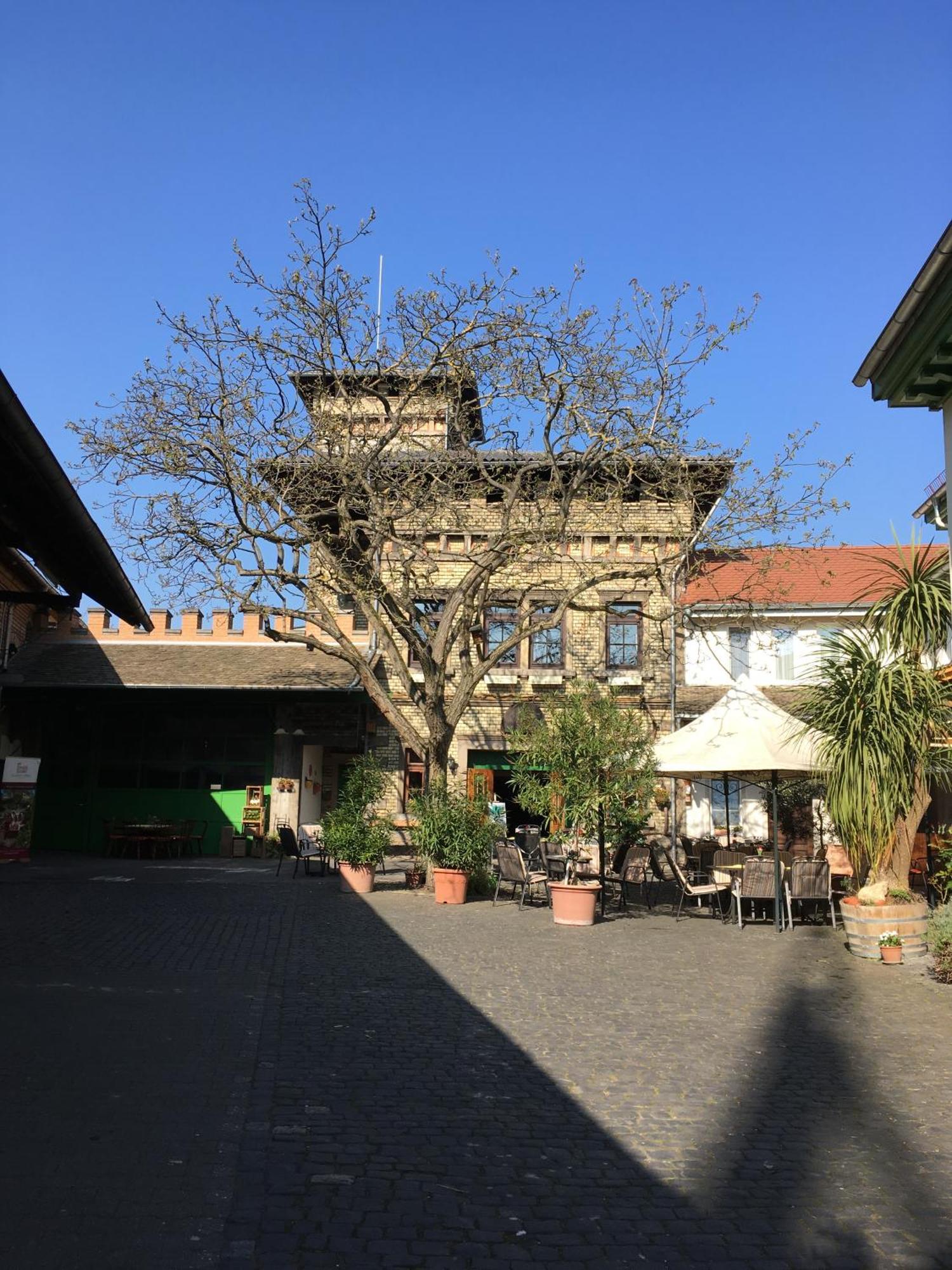 Gaestehaus Guntersblum Buitenkant foto