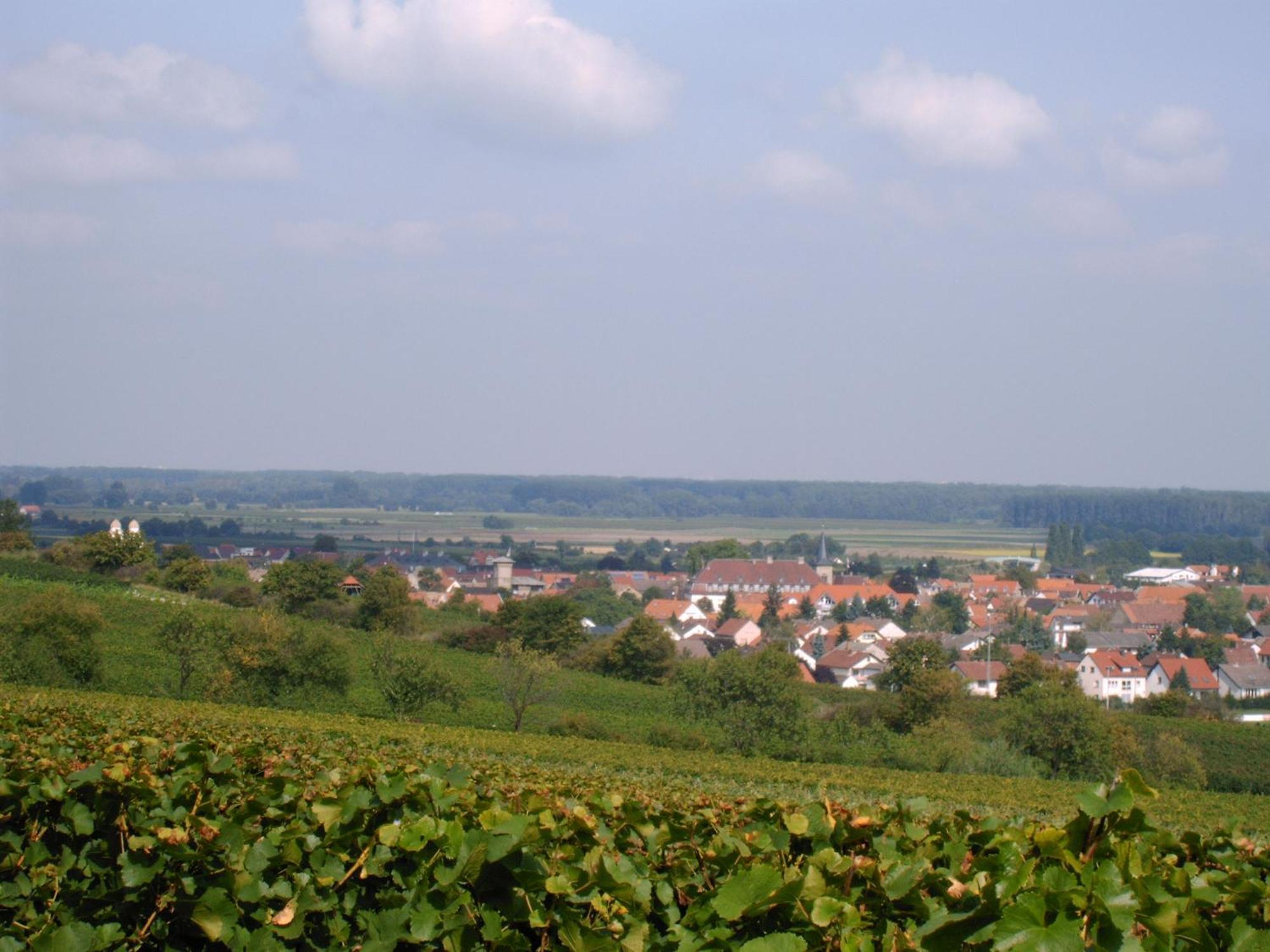 Gaestehaus Guntersblum Buitenkant foto
